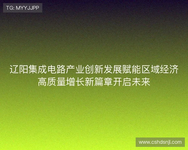 辽阳集成电路产业创新发展赋能区域经济高质量增长新篇章开启未来